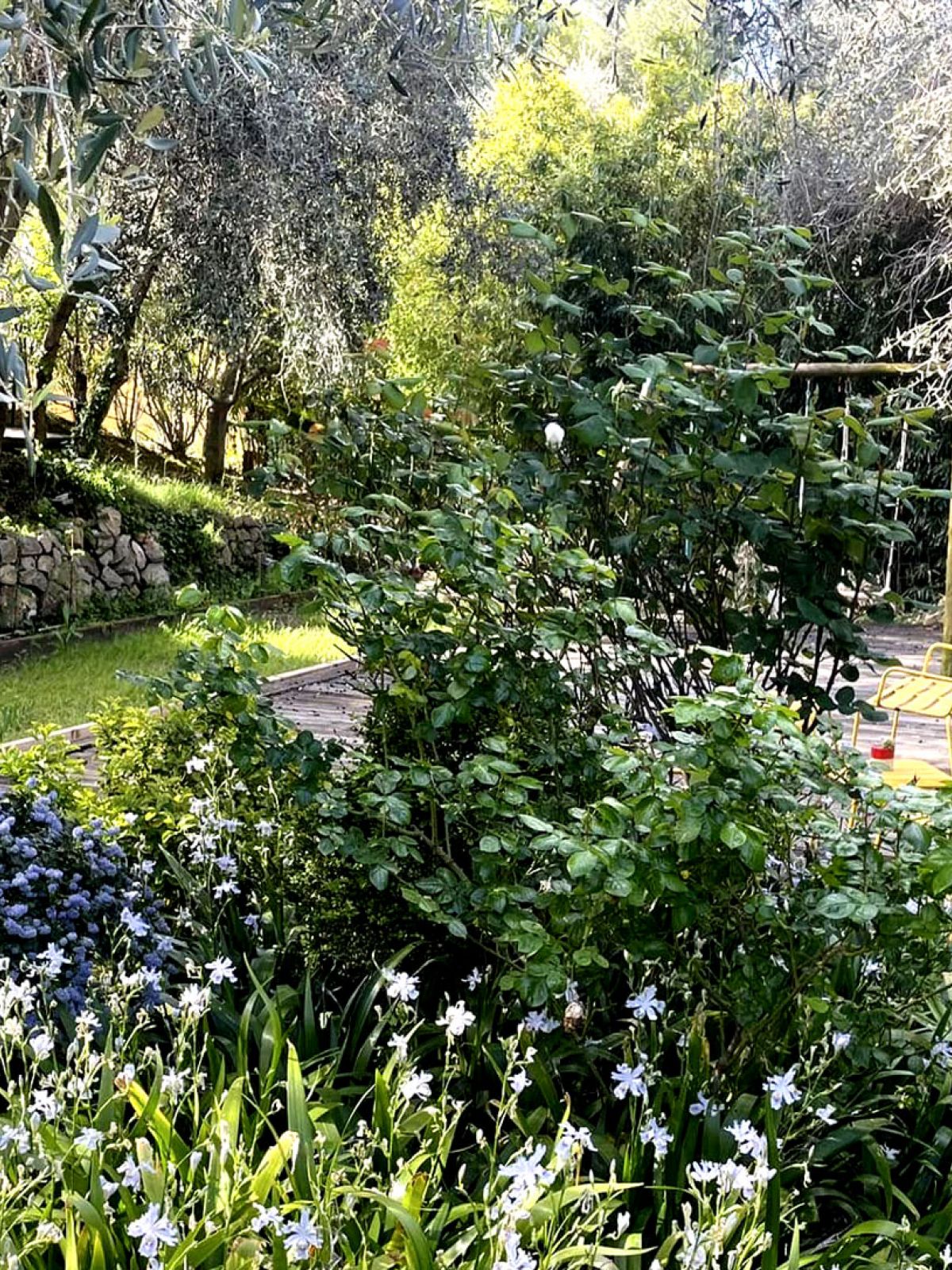 son Jardin